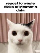 1731085245314977
