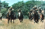 dragoons of poor resolution
