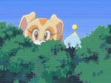 cap_-Stitch_Encodes- Sonic X - 19 -h264-DVD-SUB--9C8809A2-.mkv_0001