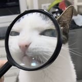 GvsEeQwXUAAHBY4