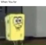 Acc3343bf319d497b8980e7681171359aj.jpg_