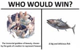 bonito granblue