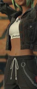 ffxiv_04132025_011528_689