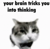 your-brain-tricks-you-into-thinking-your-brain