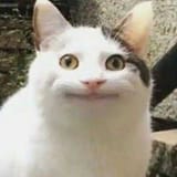23782546902