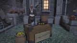 ffxiv_07052025_155341_678