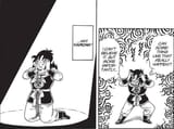 Why Yamcha