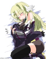 pon sleeps