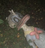 1643567724935