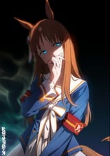 50245553