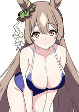 __satono_diamond_umamusume_drawn_by_mikotyuso__0cd9eaf90aed83df891c7d21b8eff7ec