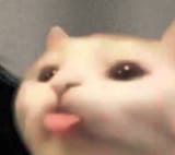 1730926119847971