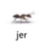 1723316754115978