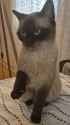 MAOW_thumb.jpg