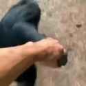 RT and yrliet passing athletics check_thumb.jpg