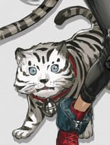 dumb cat