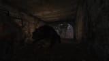 bear1