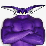 A big cat
