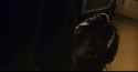 1732243315510_thumb.jpg
