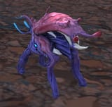 MAGGOT