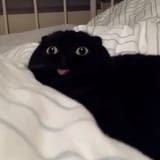 1494378251013