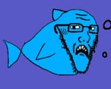 bleepctosbluefishshocked