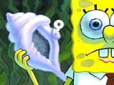 magic conch
