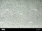 rough-wall-paint-texture-dripping-layer-of-plaster-2J8F07R