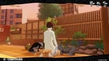 cat hangout