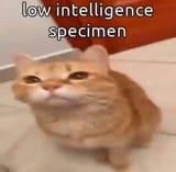 1684648420445609