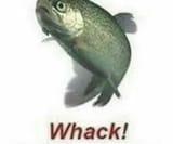 654
