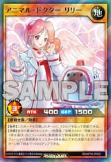 410px-AnimalDoctorLily-RDKP19-JP-OP