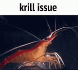 krill-issue