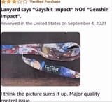 gayshit-impact-v0-airoa2yqo1jd1