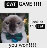 cat_game