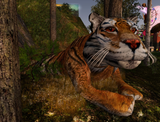tigger