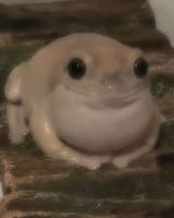 1735024186190138