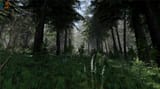 realistic-forest-in-godot-4-4-v0-6pes1ttx33re1