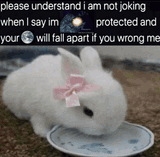 1746026158465384
