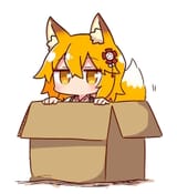 43651