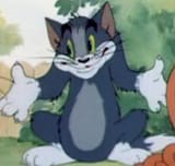 catsgotapointyaknow