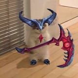 its all rhaast now