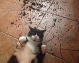 Me when I FUCKING get you