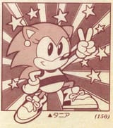 Tania the Hedgehog1