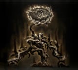 shadowsunflower