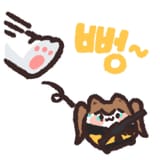 97062869(75255617)_짭코코넛 ump9- 3_4