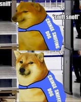 1609272703588