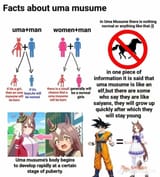 U.M.A.