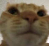 1725059601808655