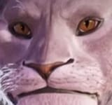autism cat remastered HD top lel collection